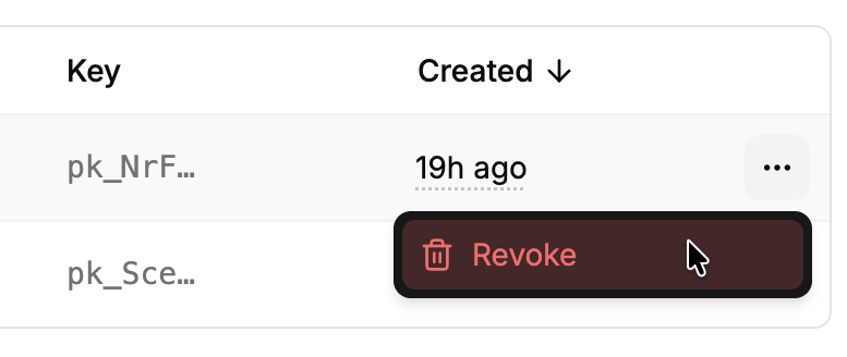 Revoke api key